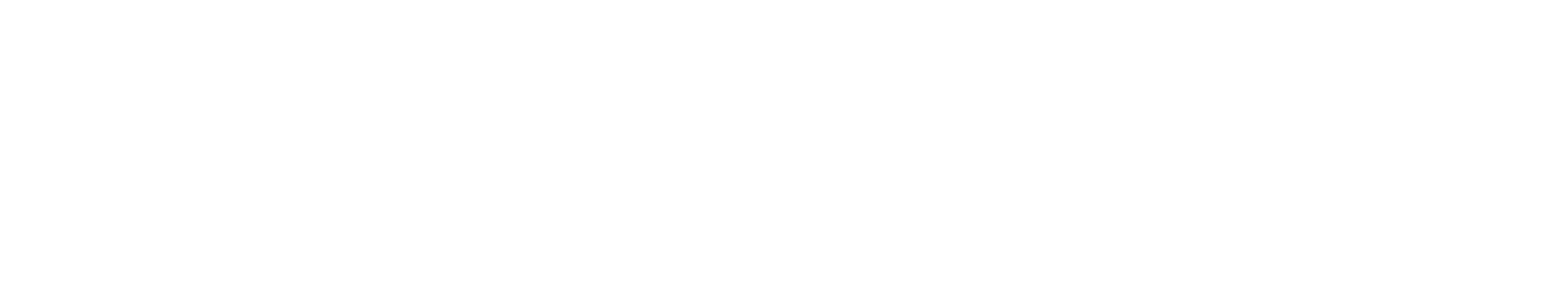 The Goose, Fulham